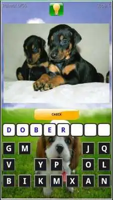 Play Puppy Dog Breeds Quiz