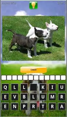 Play Puppy Dog Breeds Quiz