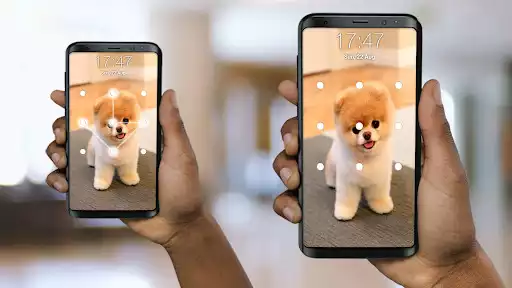 Play Puppy Dog Pattern Lock Screen  and enjoy Puppy Dog Pattern Lock Screen with UptoPlay