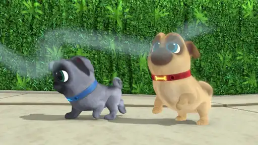 Play Puppy dog Run World PaLs  and enjoy Puppy dog Run World PaLs with UptoPlay
