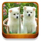Free play online Puppy Dogs zipper screen lock APK