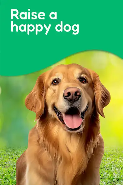Play Puppy  Dog Training App  and enjoy Puppy  Dog Training App with UptoPlay