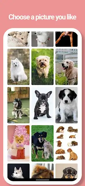Play Puppy, Dog Wallpapers - Pictur  and enjoy Puppy, Dog Wallpapers - Pictur with UptoPlay