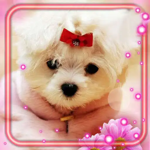 Play Puppy Friendly Glamour APK