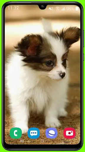 Play Puppy HD Wallpaper  and enjoy Puppy HD Wallpaper with UptoPlay