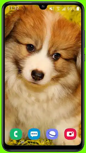 Play Puppy HD Wallpaper as an online game Puppy HD Wallpaper with UptoPlay