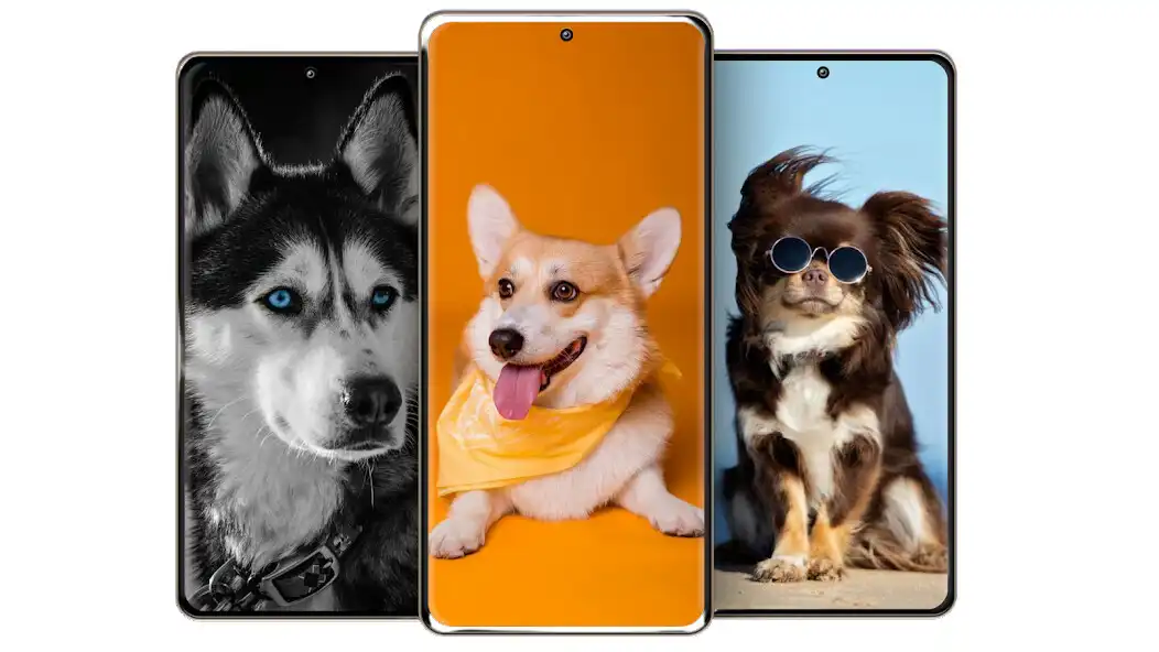 Play Puppy Love: Cute Dog Wallpaper  and enjoy Puppy Love: Cute Dog Wallpaper with UptoPlay