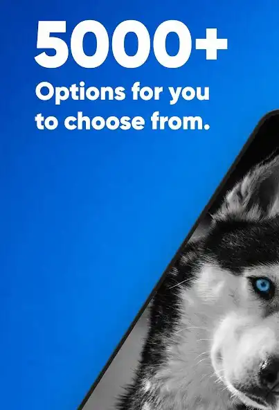 Play Puppy Love: Cute Dog Wallpaper as an online game Puppy Love: Cute Dog Wallpaper with UptoPlay