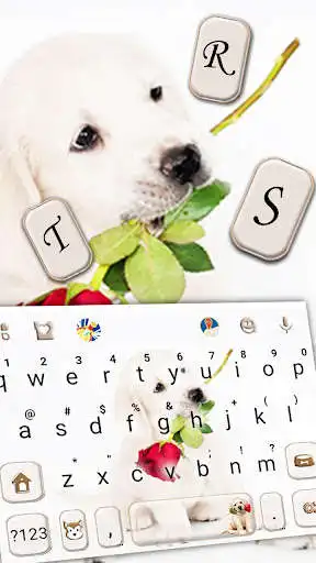 Play Puppy Love Rose Keyboard Theme as an online game Puppy Love Rose Keyboard Theme with UptoPlay