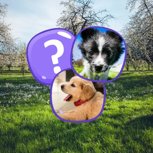 Play Puppy Memory APK Play Puppy Memory APK