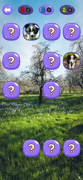 Play Puppy Memory as an online game Puppy Memory with UptoPlay