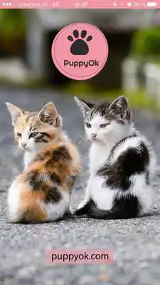 Play PuppyOk