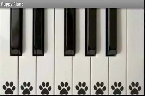 Play Puppy Piano Free