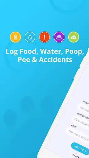 Play Puppy Potty Log  and enjoy Puppy Potty Log with UptoPlay
