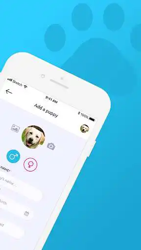Play Puppy Potty Log as an online game Puppy Potty Log with UptoPlay