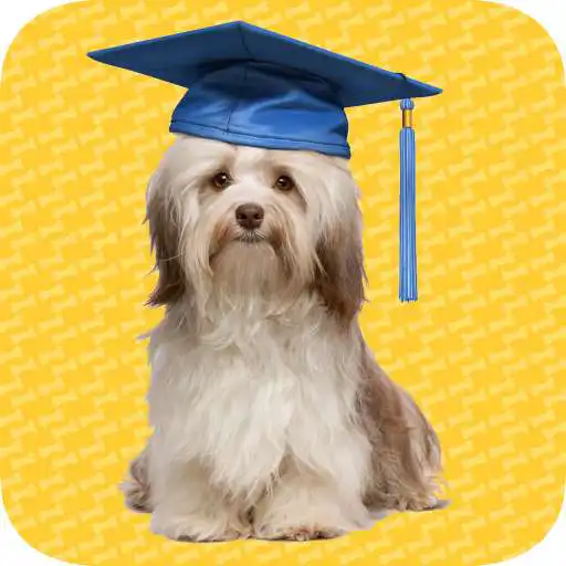 Play Puppy Pride APK Play Puppy Pride APK