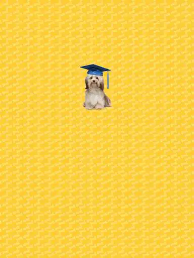Play Puppy Pride  and enjoy Puppy Pride with UptoPlay