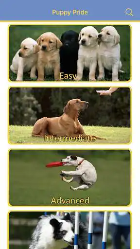 Play Puppy Pride as an online game Puppy Pride with UptoPlay
