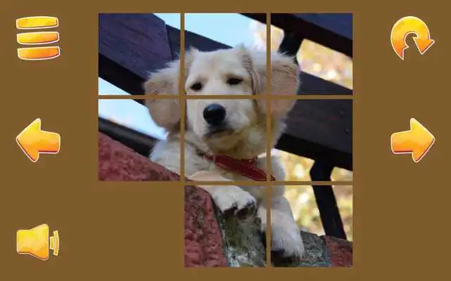 Play Puppy Puzzle