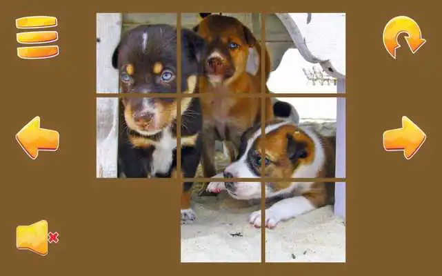 Play Puppy Puzzle