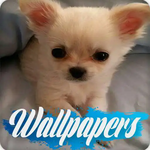Play Puppy Wallpaper Images APK