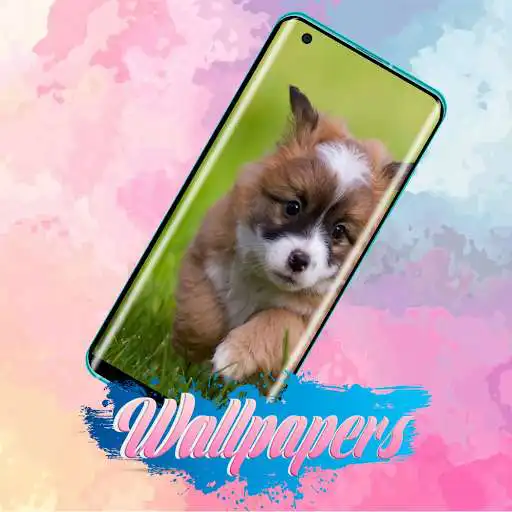 Play Puppy Wallpaper Images and enjoy Puppy Wallpaper Images with UptoPlay Play Puppy Wallpaper Images and enjoy Puppy Wallpaper Images with UptoPlay