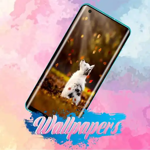 Play Puppy Wallpaper Images as an online game online Puppy Wallpaper Images with UptoPlay com.BCS.Puppy.WallpaperImages Play Puppy Wallpaper Images as an online game Puppy Wallpaper Images with UptoPlay