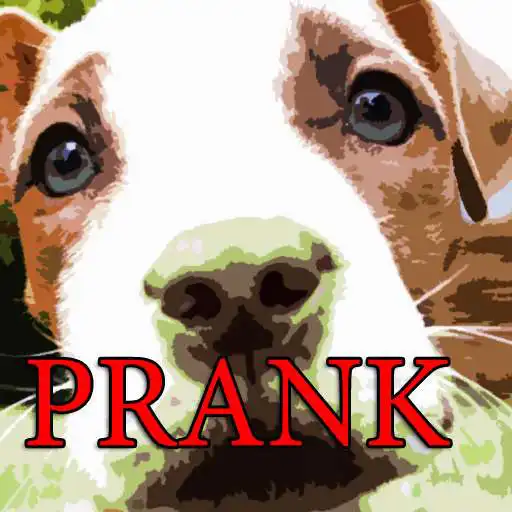 Free play online Puppy Whines Prank APK