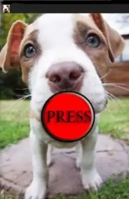 Play Puppy Whines Prank