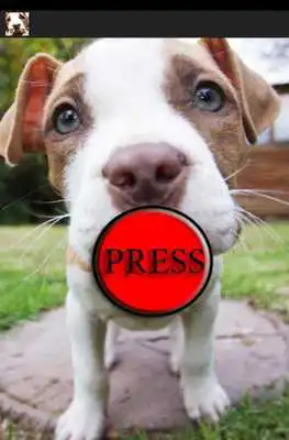 Play Puppy Whines Prank