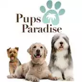 Free play online Pups Paradise APK