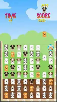 Play Pup Tap Play Pup Tap