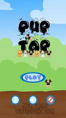 Play Pup Tap Play Pup Tap