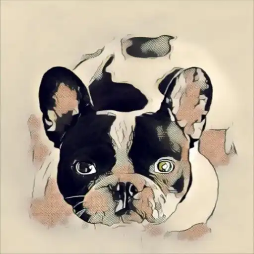 Play Pup wallpaper APK