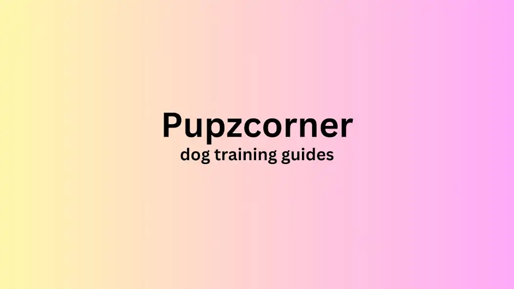 Play Pupzcorner as an online game Pupzcorner with UptoPlay