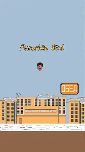 Play Pureshka Bird  and enjoy Pureshka Bird with UptoPlay