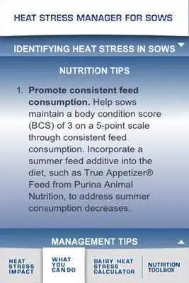 Play Purina Sow Heat Stress Manager