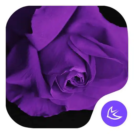 Free play online Purple-APUS Launcher theme APK