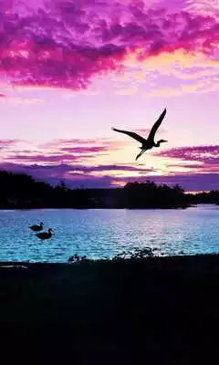 Play Purple clouds live wallpaper