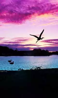 Play Purple clouds live wallpaper