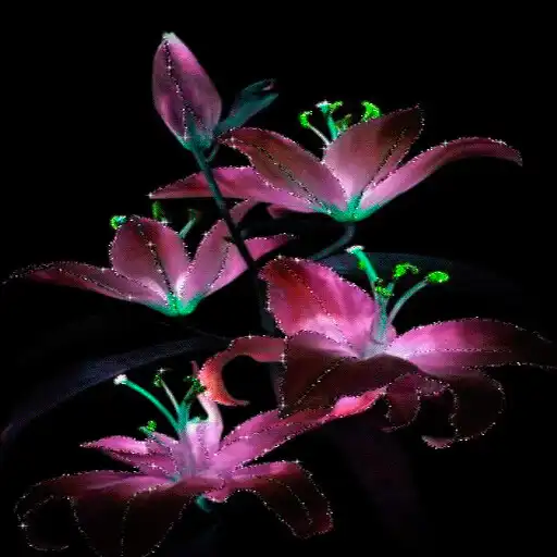 Play Purple Flowers Live Wallpaper APK Play Purple Flowers Live Wallpaper APK