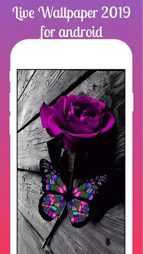 Play Purple Flowers Live Wallpaper  and enjoy Purple Flowers Live Wallpaper with UptoPlay