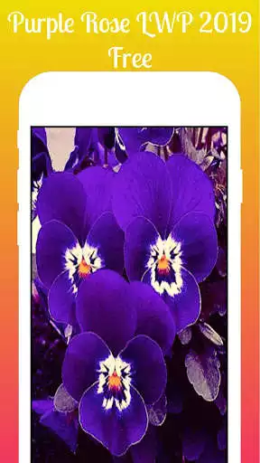 Play Purple Flowers Live Wallpaper as an online game Purple Flowers Live Wallpaper with UptoPlay
