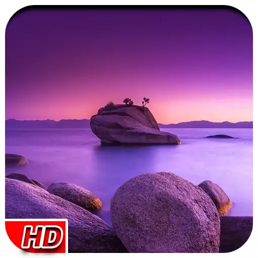 Play Purple live wallpaper APK Play Purple live wallpaper APK