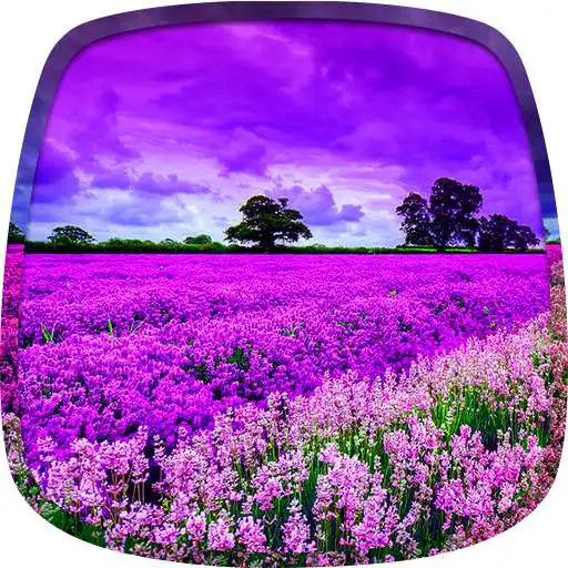 Free play online Purple Nature Live Wallpaper  APK