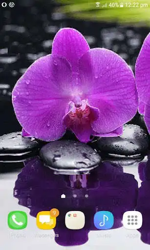 Play Purple Orchid Live Wallpaper as an online game Purple Orchid Live Wallpaper with UptoPlay