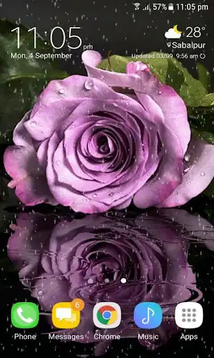 Play Purple Rainy Flower LWP Play Purple Rainy Flower LWP