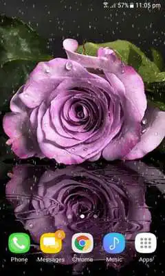 Play Purple Rainy Flower LWP Play Purple Rainy Flower LWP