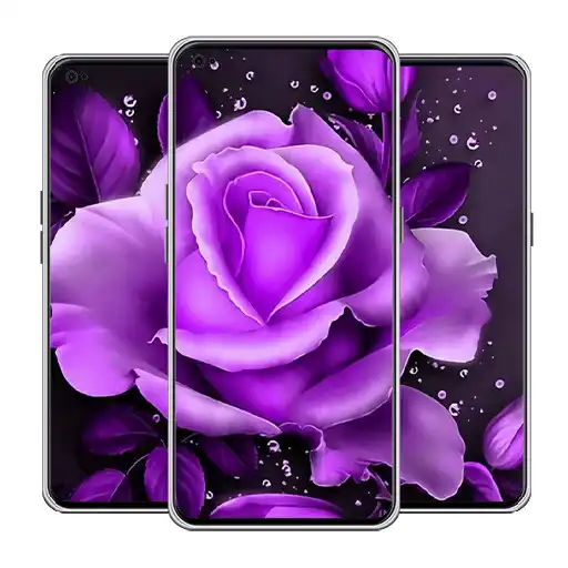 Play Purple Rose Love Wallpaper APK Play Purple Rose Love Wallpaper APK