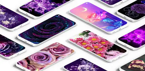 Play Purple Rose Love Wallpaper  and enjoy Purple Rose Love Wallpaper with UptoPlay